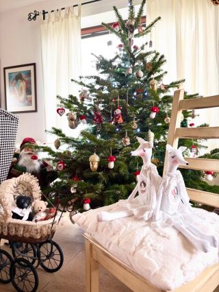 Krásnou neděli 🎄🕯️ #vanoce #vanocnivyzdoba #polarniliska #rucniprace #evesije